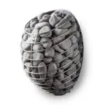 Sauna stone cage