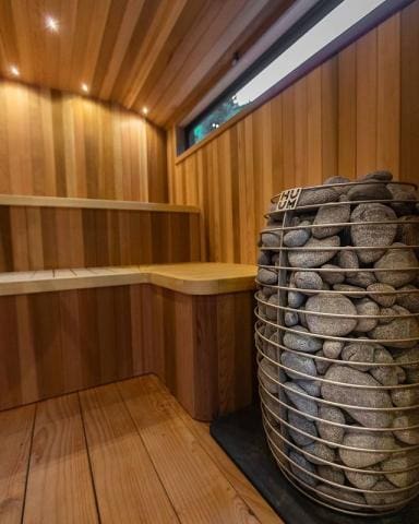 Sauna heater Hive