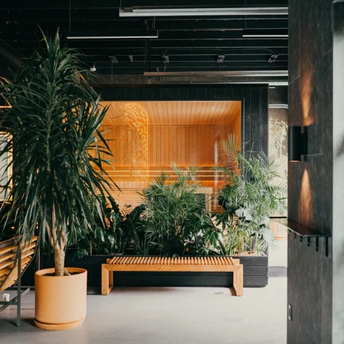 Commercial Saunas