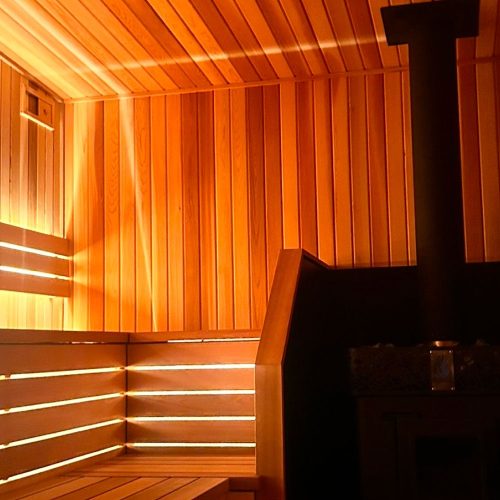 lighted backrest